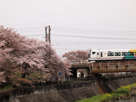 E257系特急かいじ中央本線日野~立川02
