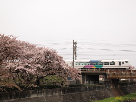 E257系特急あずさ 中央本線日野~立川