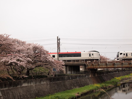 E259系成田エクスプレスとE257系特急あずさ 中央本線日野~立川