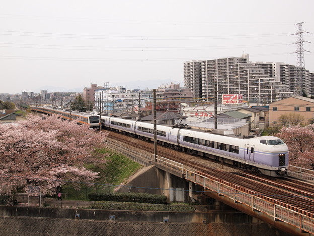 51系特急スーパーあずさ 中央本線日野 立川01 写真共有サイト フォト蔵