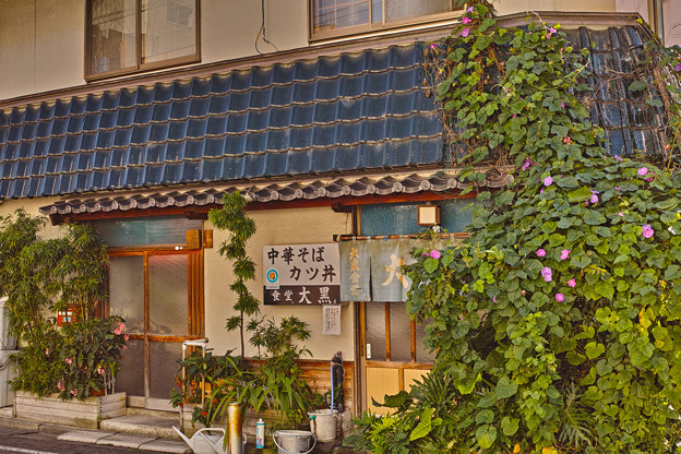 SDIM0047