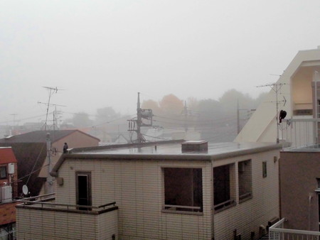朝焼け→霧雨(カラス2羽)_2015.11.27.-03
