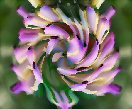 Erica-02