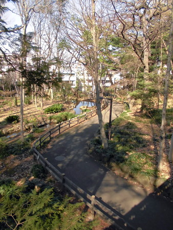 林試の森公園_せせらぎ橋より-01