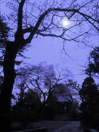 花時-02