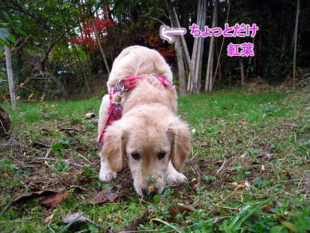 PIC00004