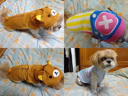 モデル