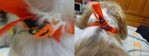 ハロウィンリボン