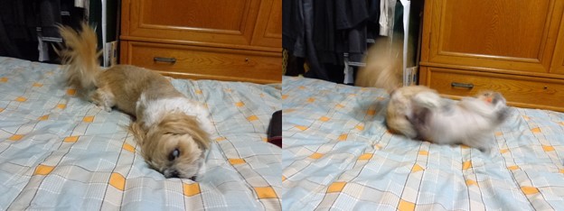 クネクネ