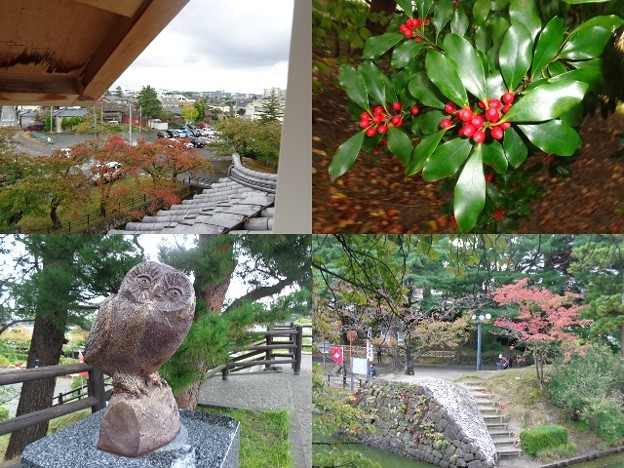 阿賀野川新発田城庭