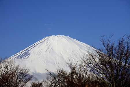 午前中の富士山