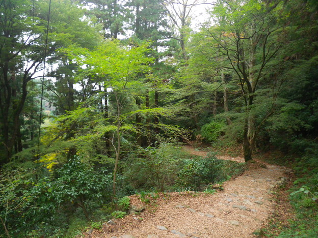 IMGP0195