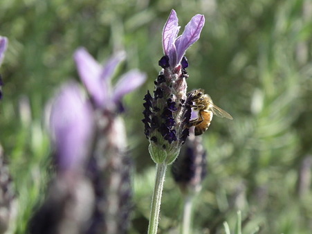 DSCF0407