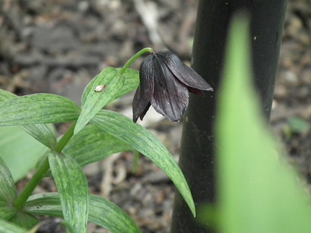DSCF0117