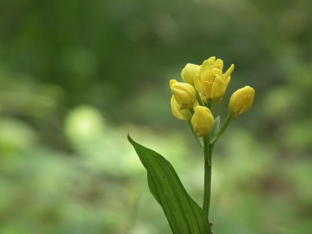 DSCF0170