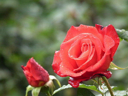 DSCF0046