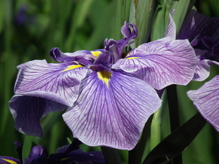 DSCF0186