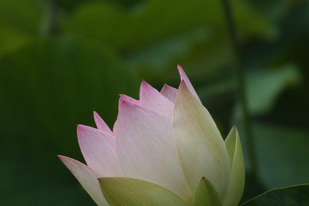 DSCF0046