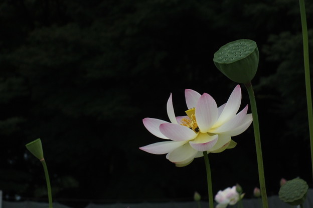 DSCF0073