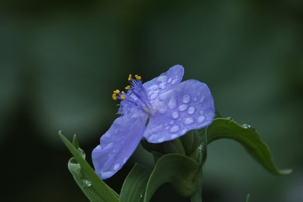 DSCF0050