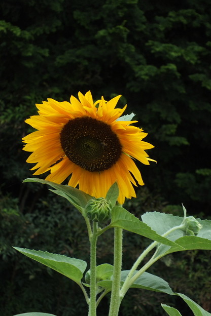 DSCF0069
