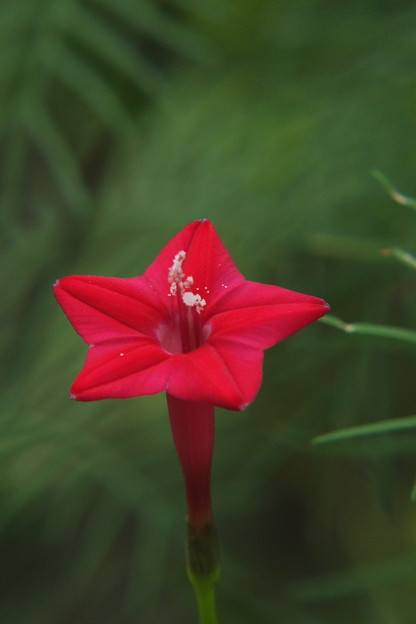 DSCF0216