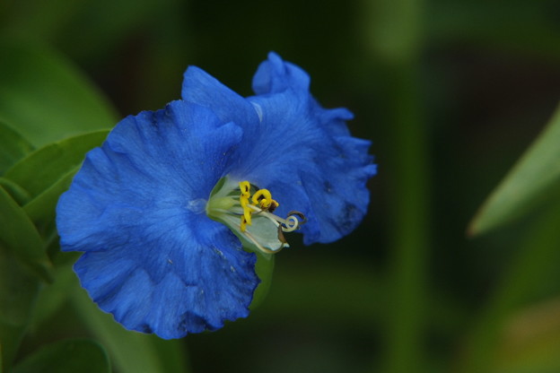 DSCF0224