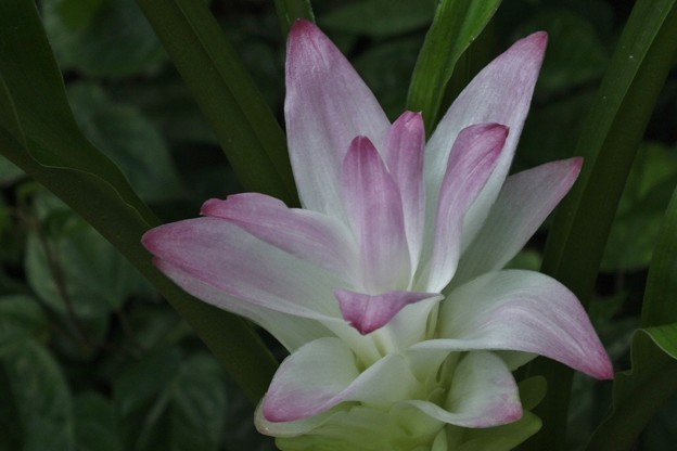 DSCF0258