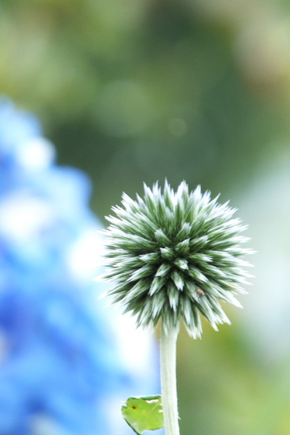 DSCF0293