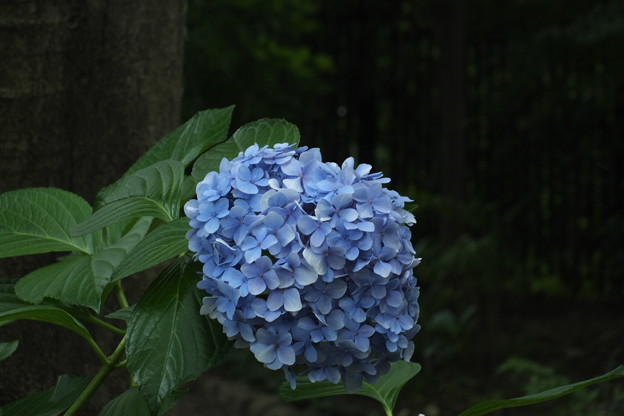 DSCF0320