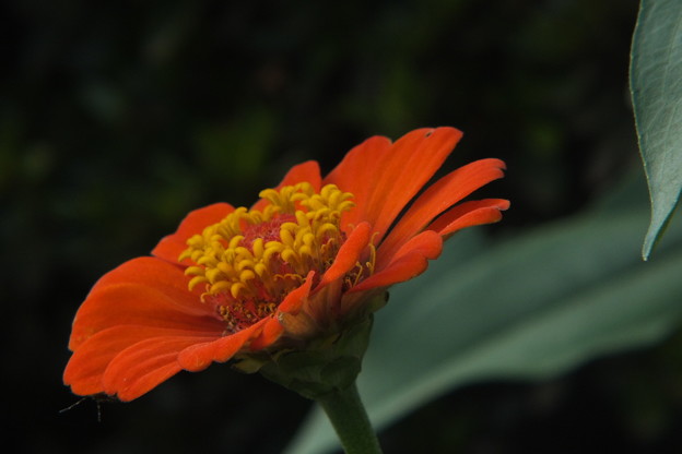 DSCF0098