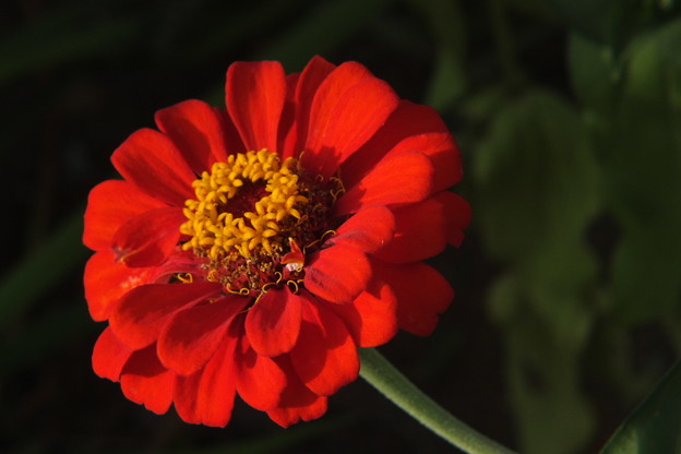 DSCF0118