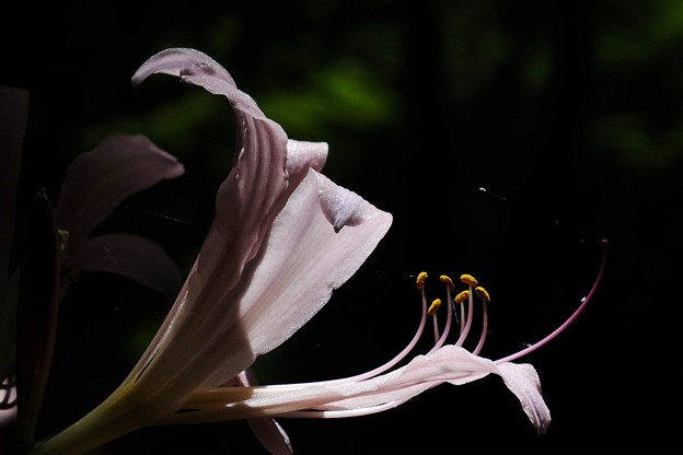 DSCF0095