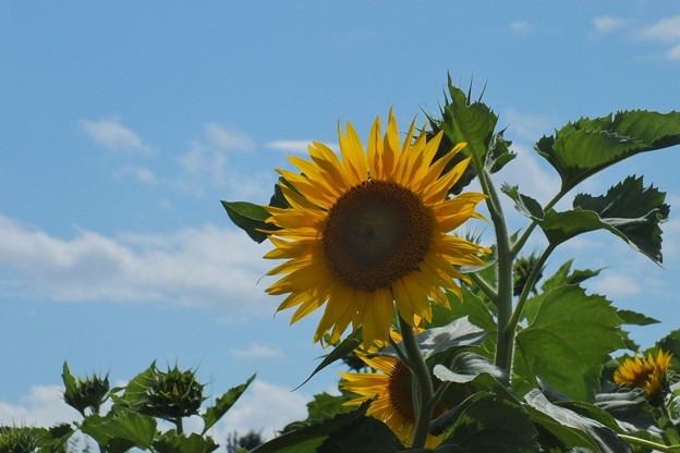 DSCF0147