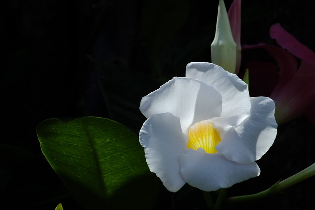 DSCF0176