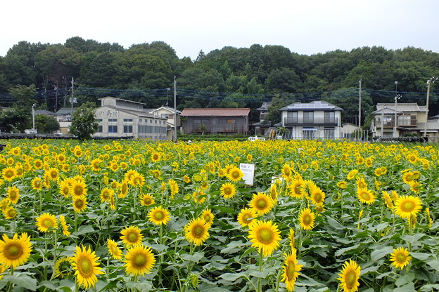 DSCF0058