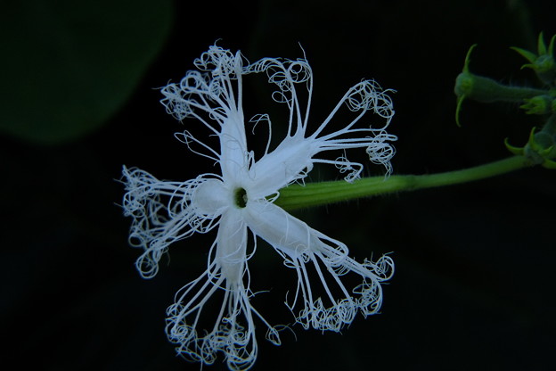 DSCF0183