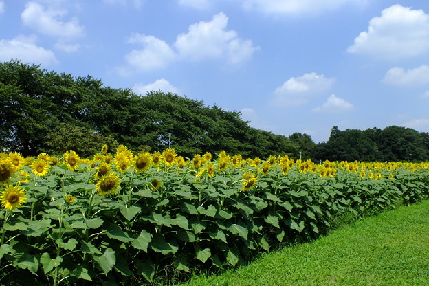 DSCF0008
