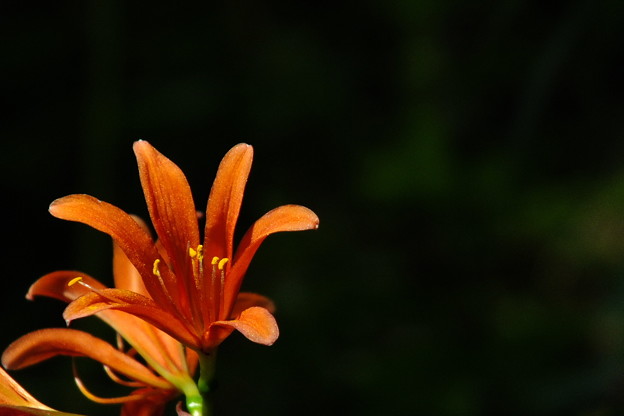 DSCF0132