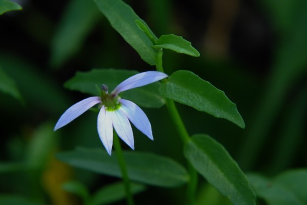 DSCF0082