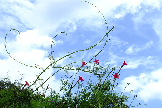 DSCF0126