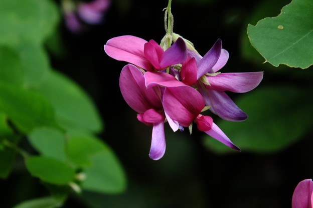 DSCF0578