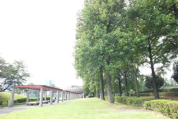 DSCF0032