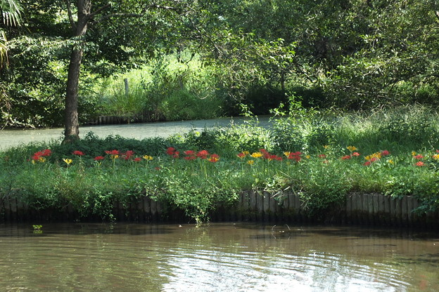 DSCF0209