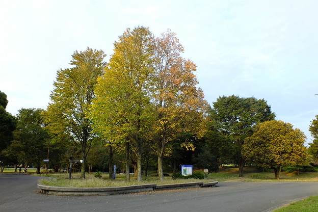 DSCF0701