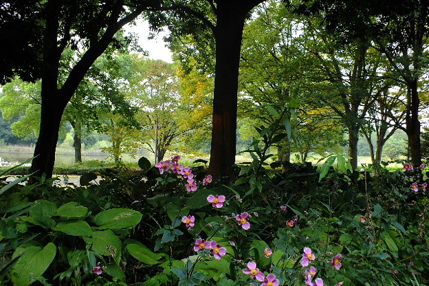 DSCF0730