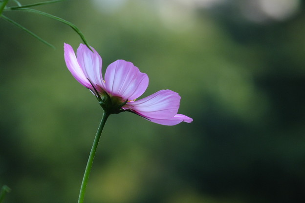 DSCF0574