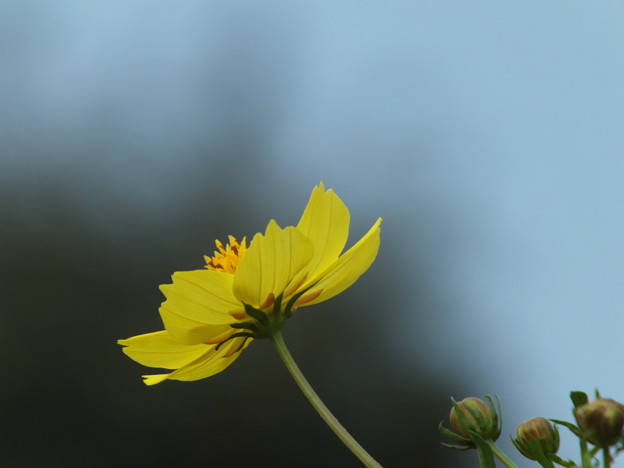 DSCF0027