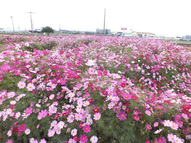 DSCF0178