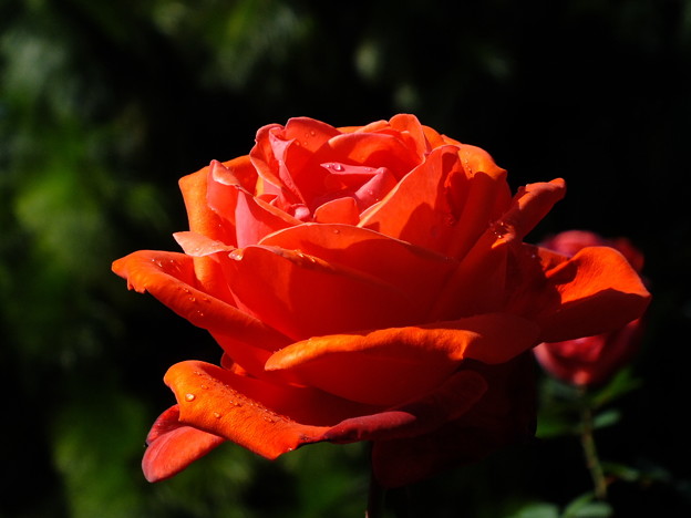DSCF0121